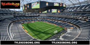 Football Pitch Và Vai Trò Quan Trọng Trong Bóng Đá